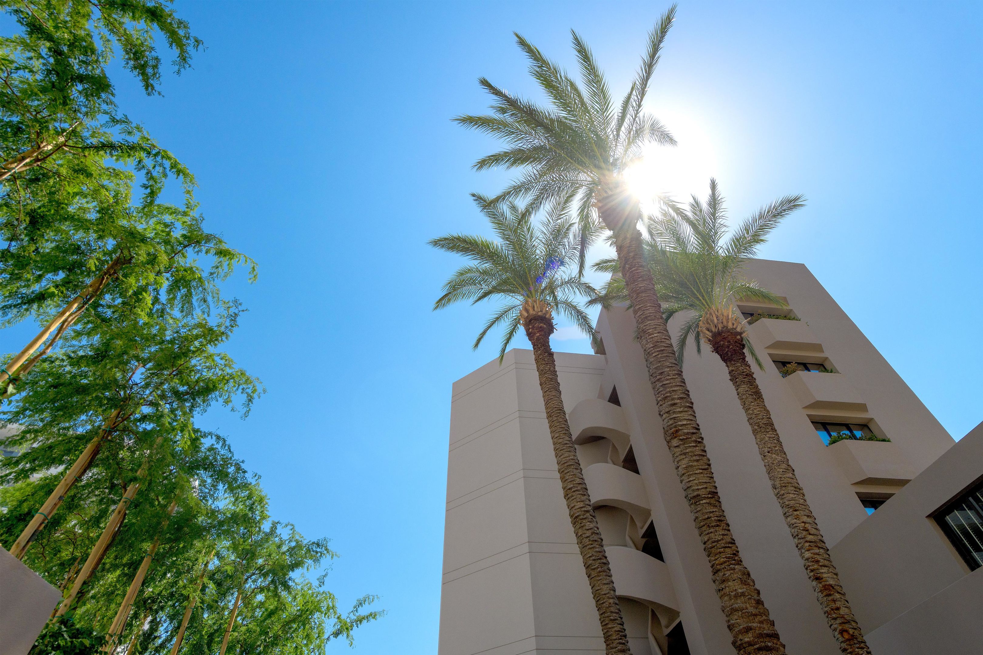 Hotels - Gay-Friendly - Ammades All Suites Beach Hotel & Spa - Adults Only