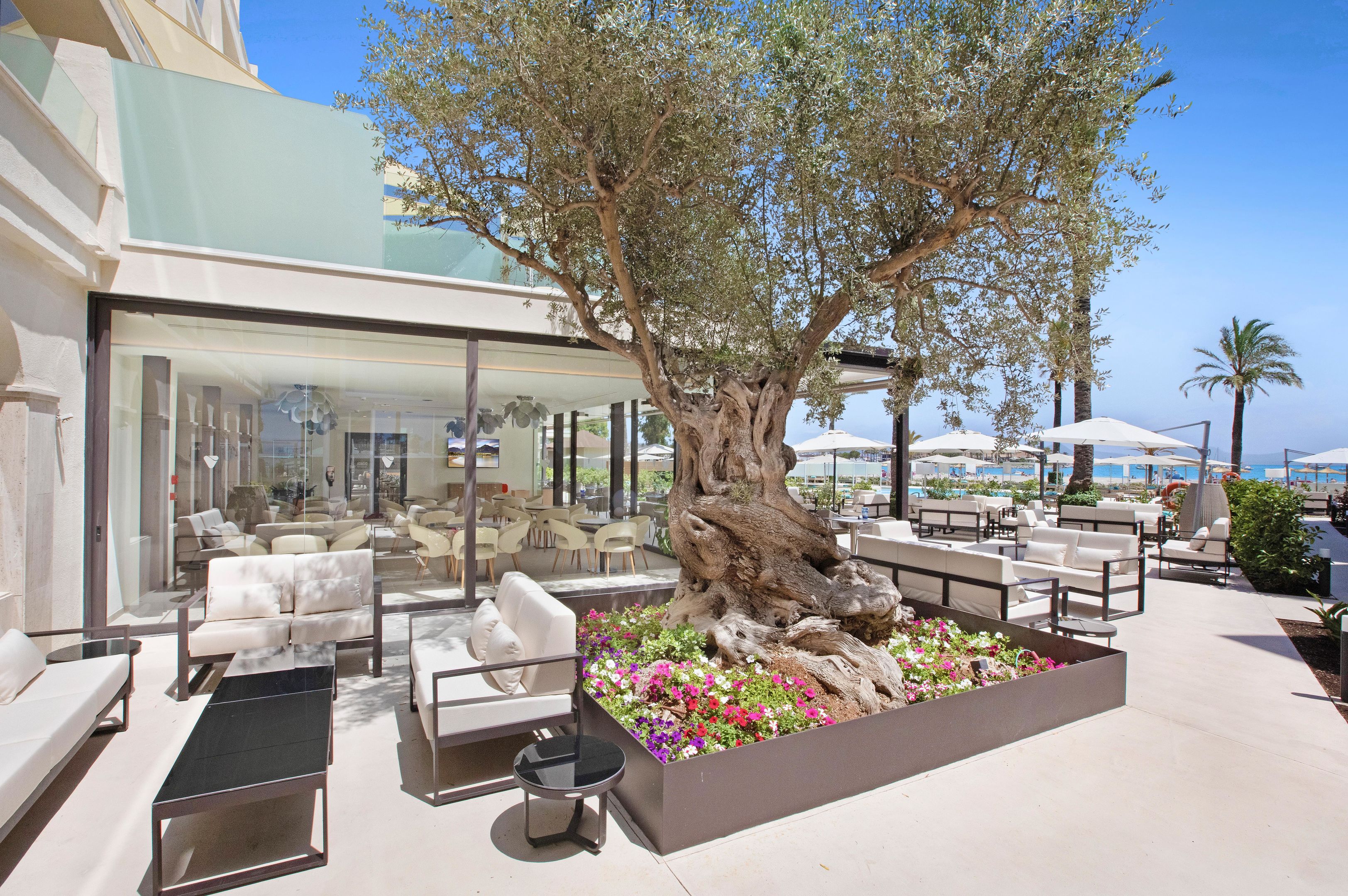 Hotels - Mallorca - VIVA Golf