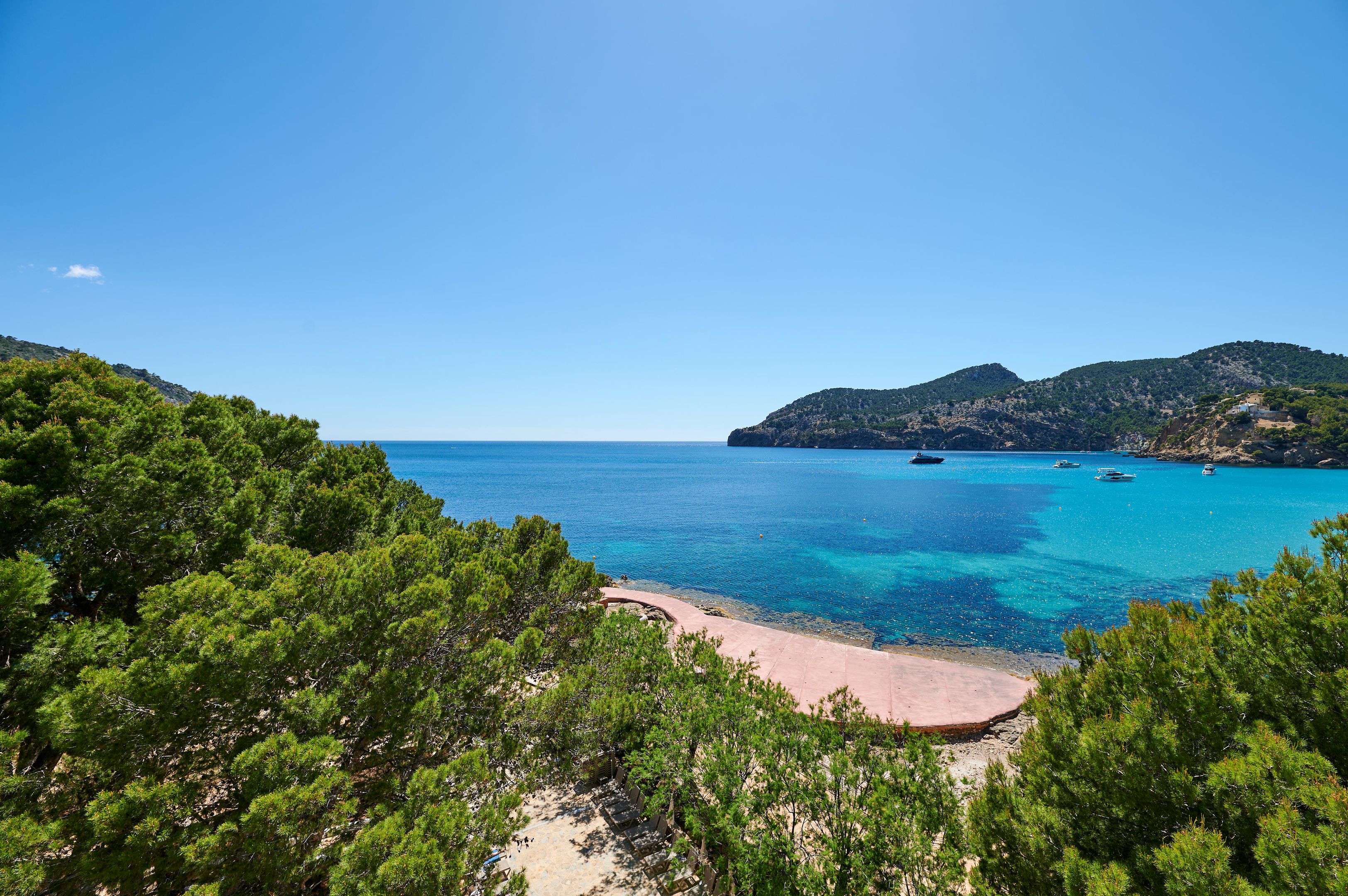 Hotel: Alua Gran Camp de Mar