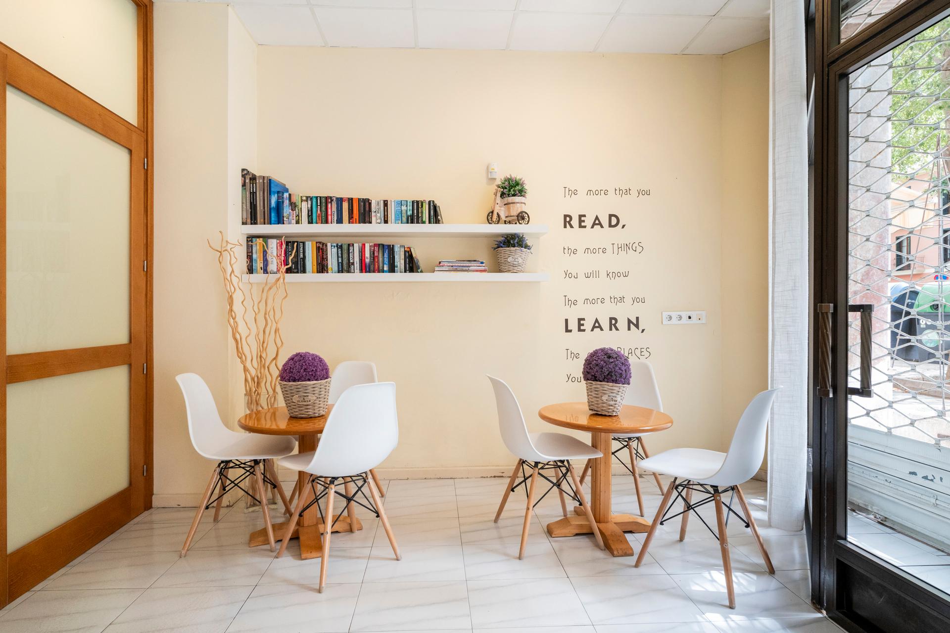 Hotels - Mallorca - Hotel Amic Colon