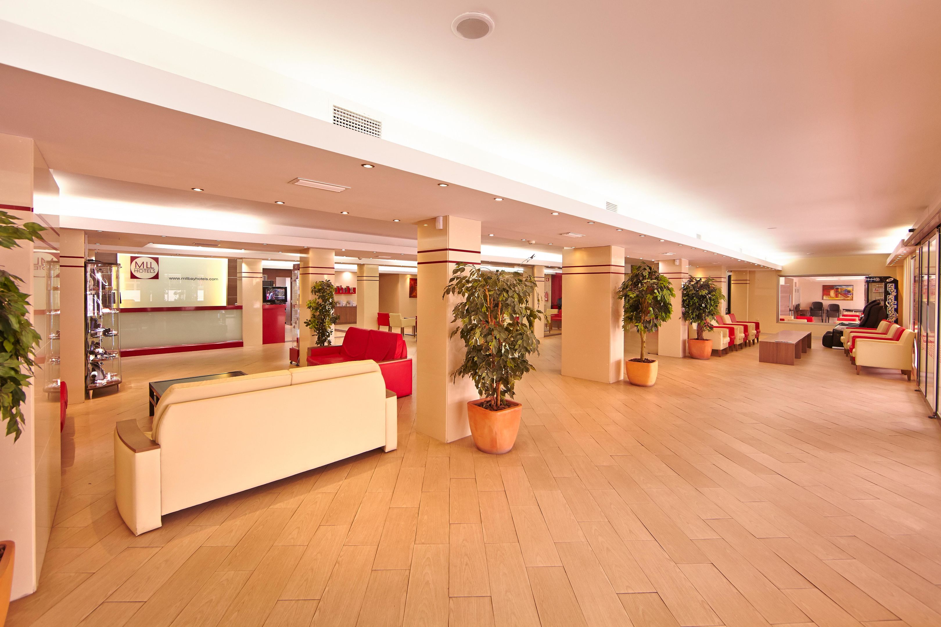 Hotels - Mallorca - MLL Caribbean Bay