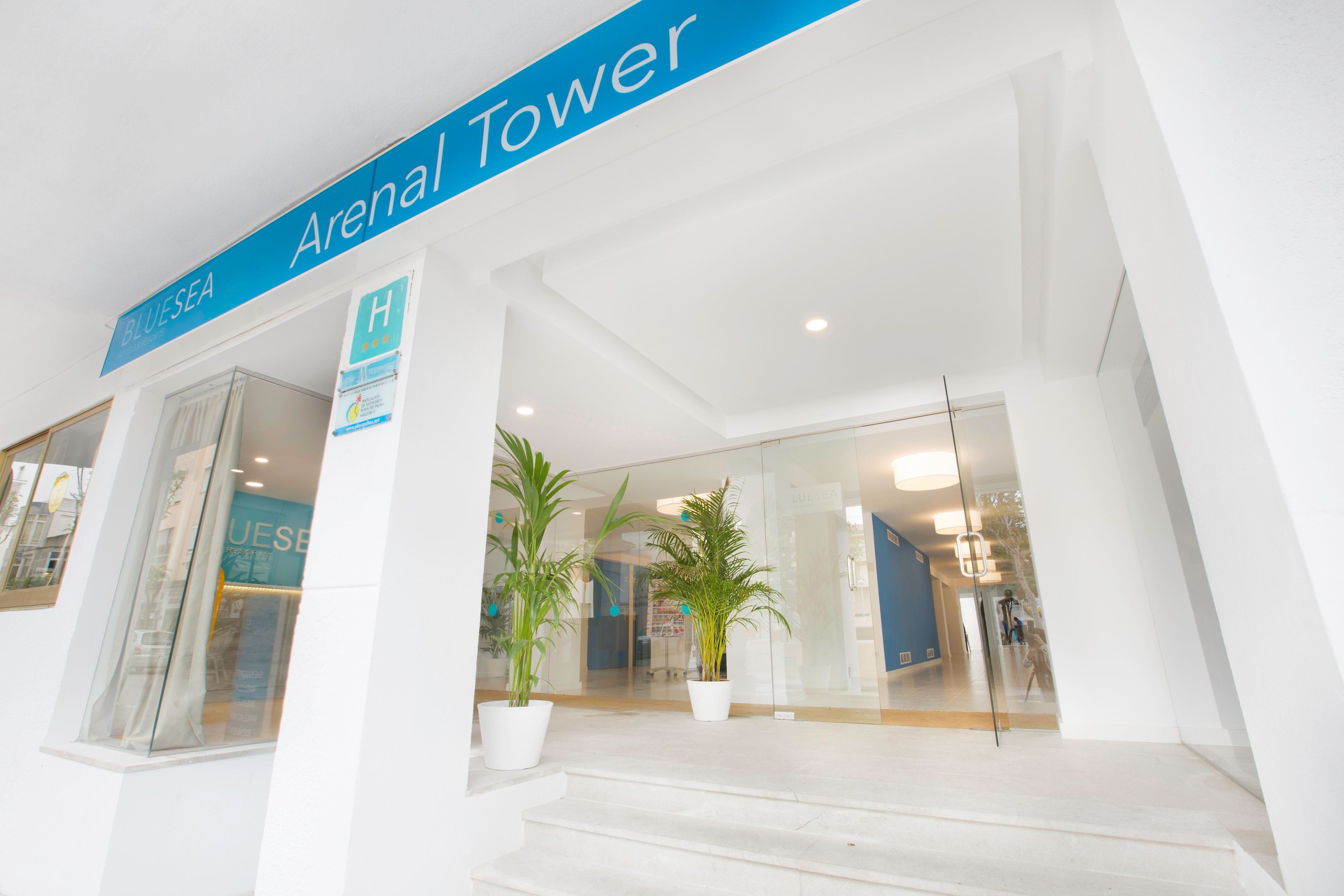 Hotels - Mallorca - BLUESEA Arenal Tower Adults Only