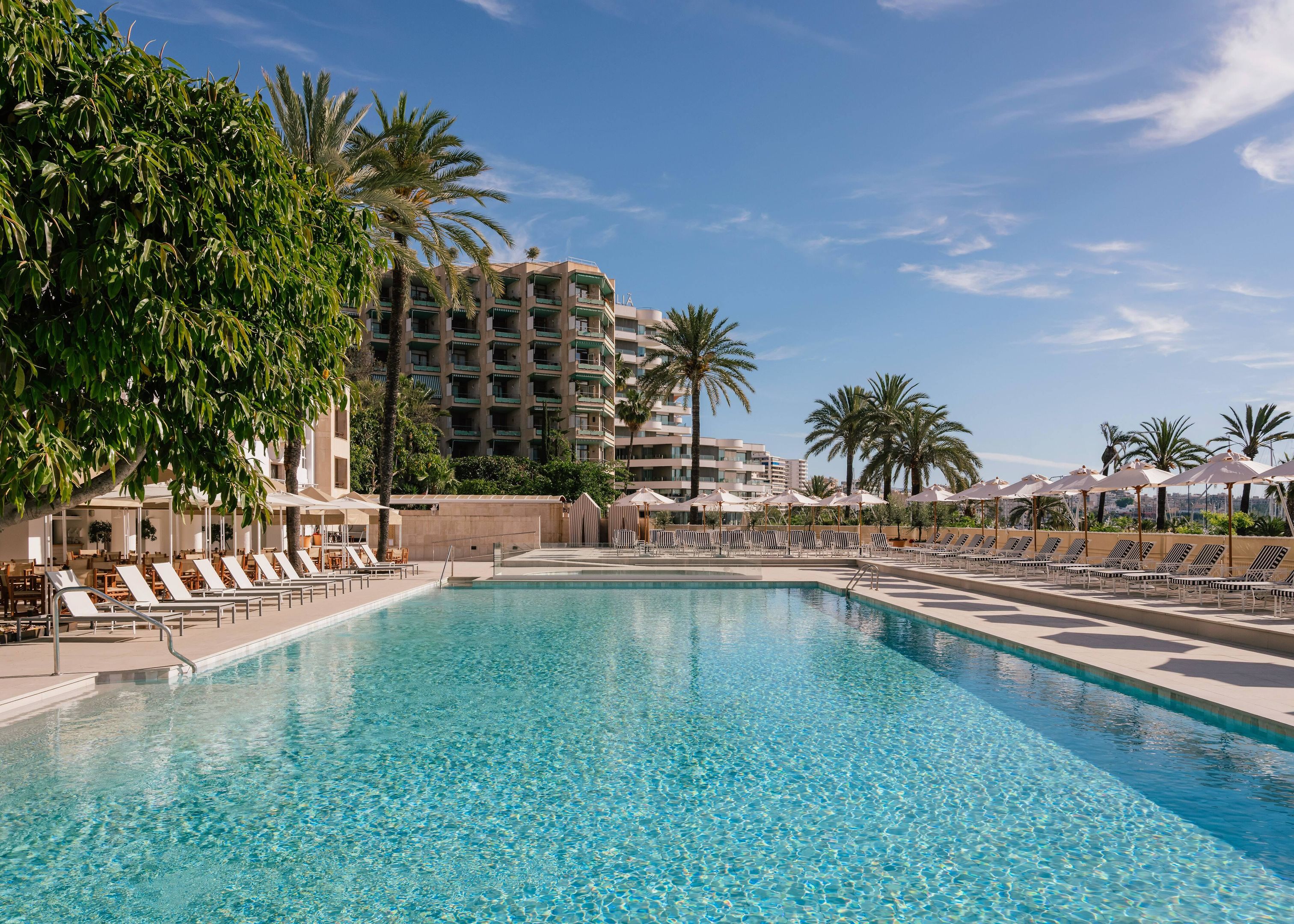 Hotels - Mallorca - Hotel Victoria Gran Meliá