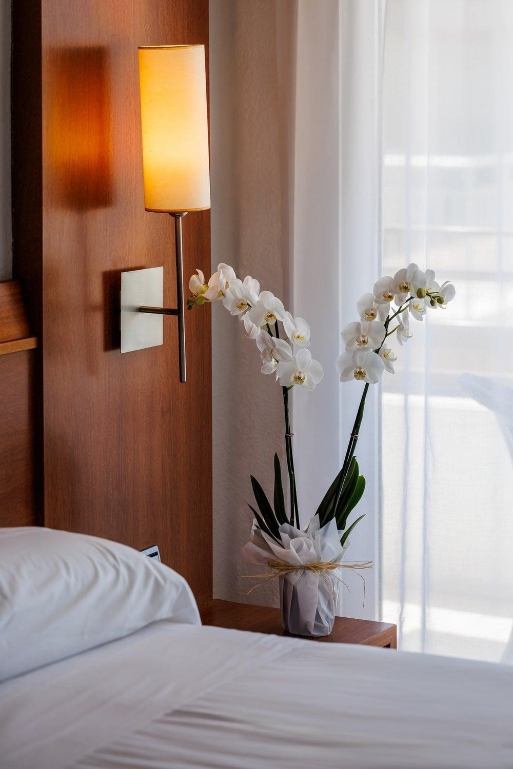 O7 Colombo Zimmer-Kategorien Triple Room