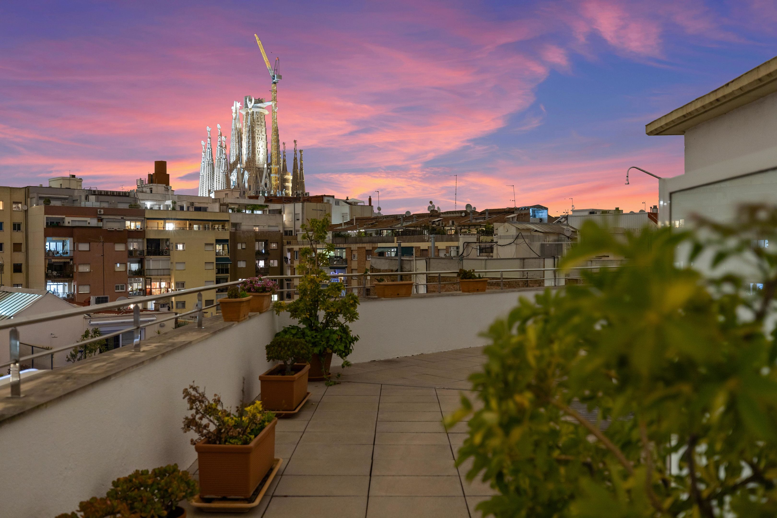 Hotels - Barcelona - Best Aranea