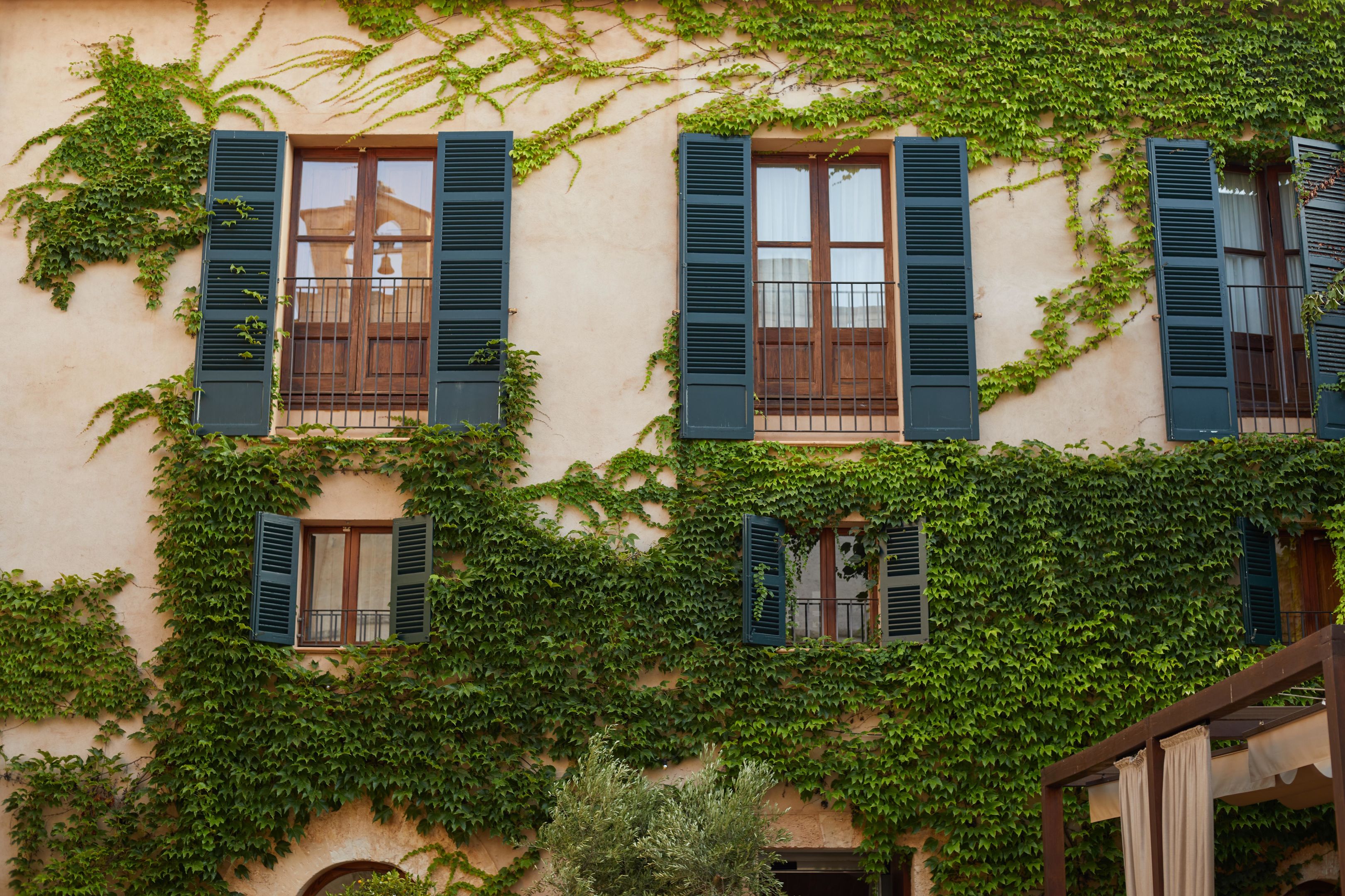 Hotel: Zoëtry Mallorca