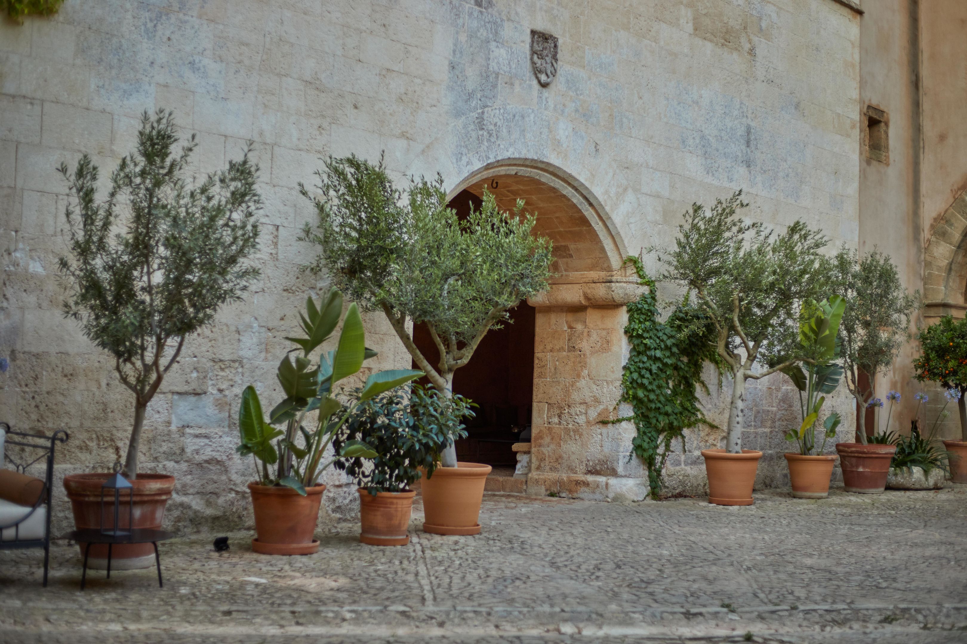 Hotel: Zoëtry Mallorca
