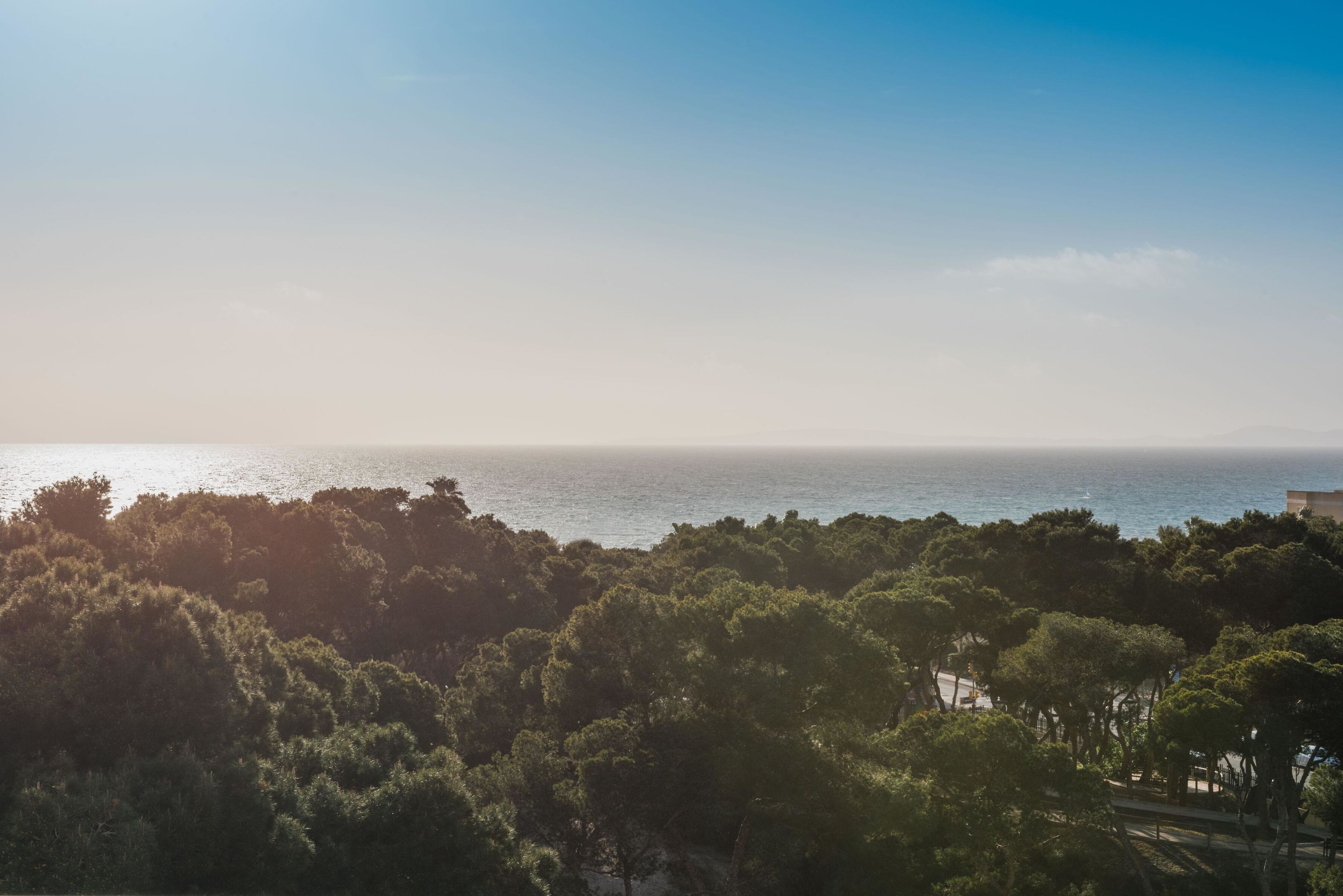 Hotel: Iberostar Selection Llaut Palma