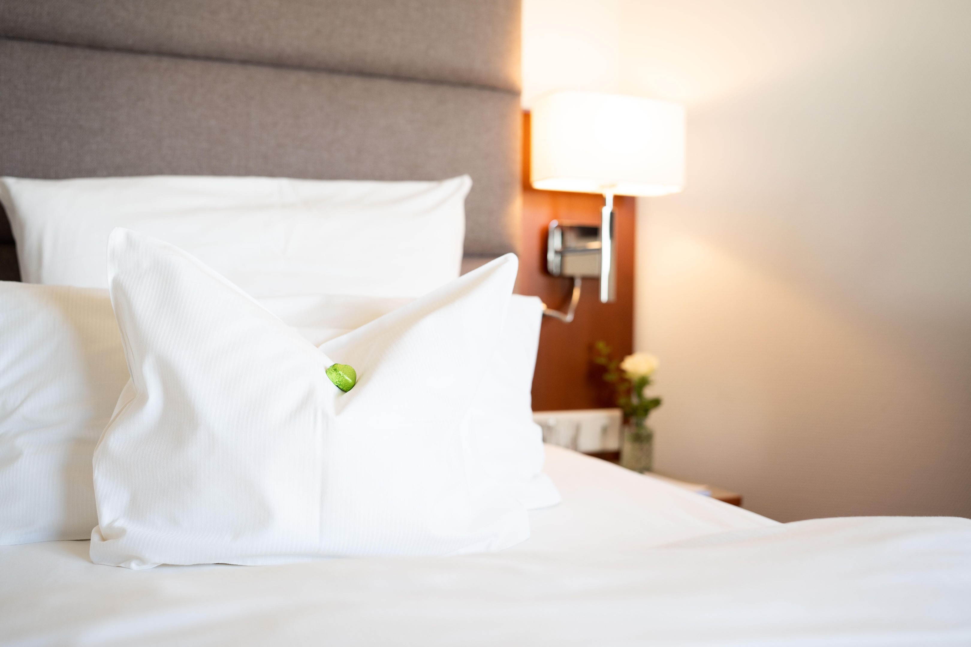 Hotel: Hotel Drei Birken