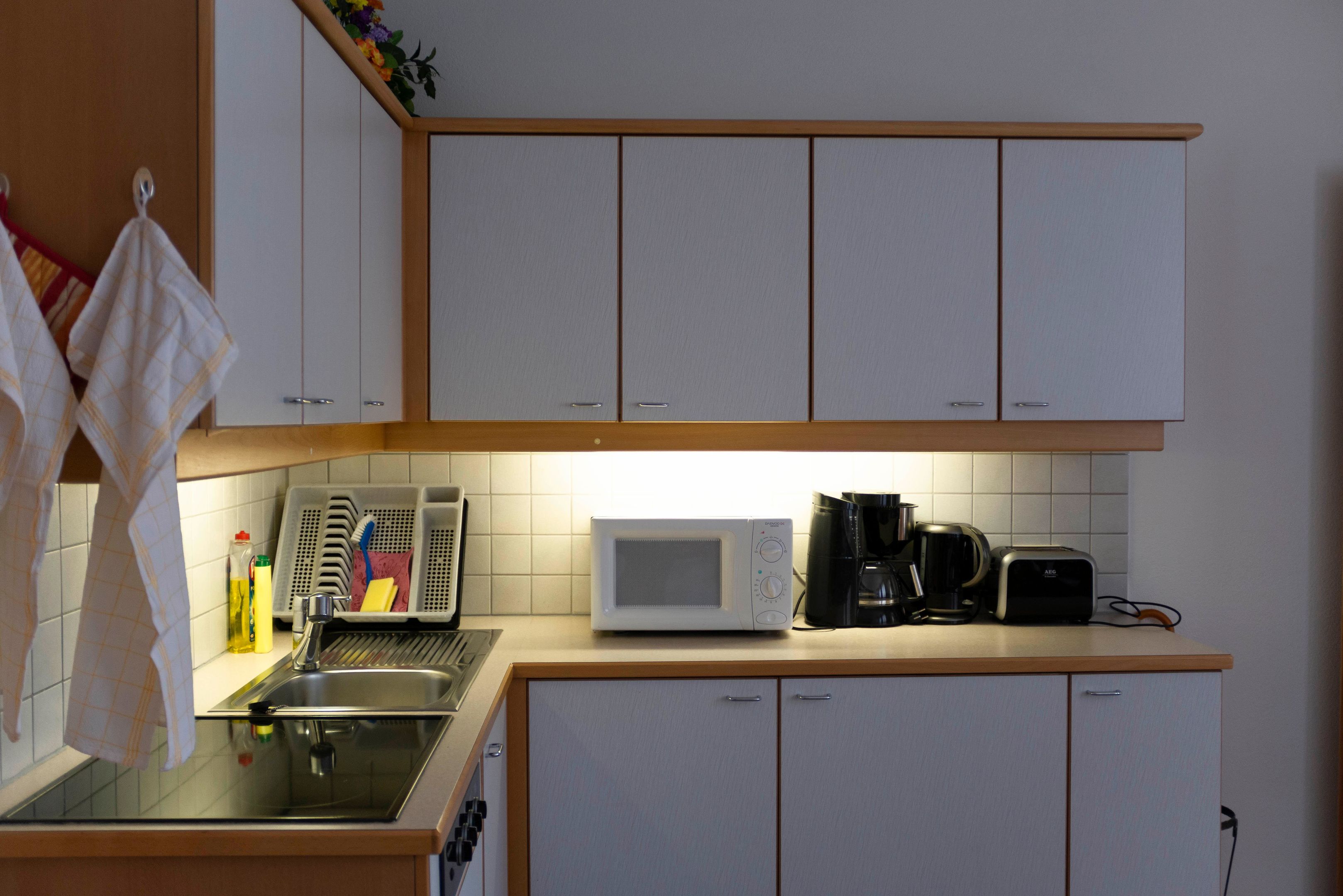 Hotel: Fleger Appartements